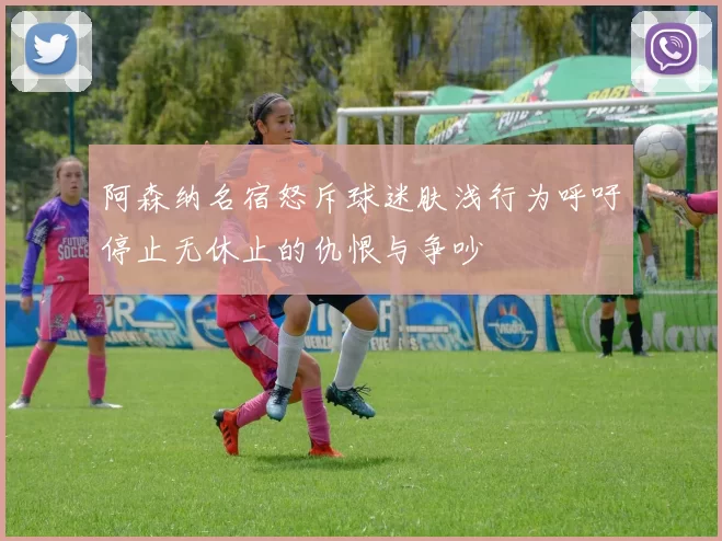 阿森纳名宿怒斥球迷肤浅行为呼吁停止无休止的仇恨与争吵