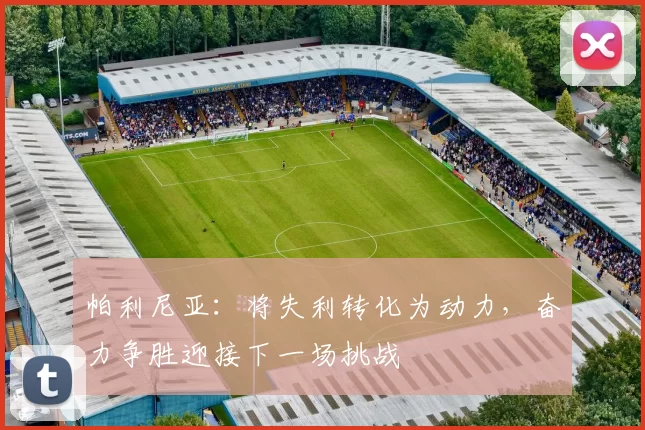 帕利尼亚：将失利转化为动力，奋力争胜迎接下一场挑战